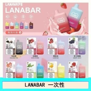 LANA BAR可充电一次性電子煙霧化5000口(3.0%)