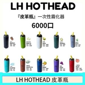 LH HOTHEAD皮革瓶電子煙可充電6000口一次性